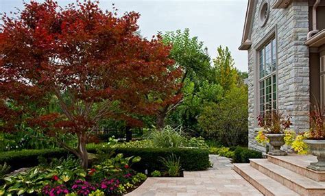 Landscaping With Trees In 15 Outdoor Scenes Cool Landscapes Landscape