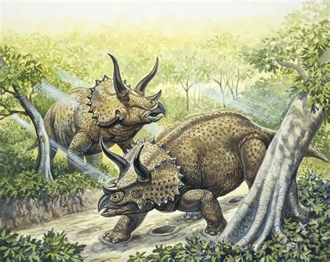 10 Intriguing Facts About The Triceratops