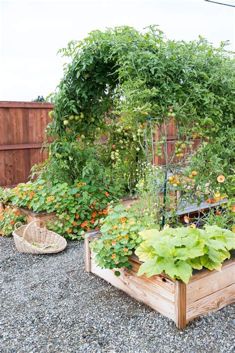 Raised Bed Garden Arch Trellis Vegetable Garden Design Garden