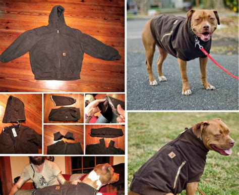 Turn Your Old Hoodie Into This Fantastic Dog Coat For Your Furbaby Get