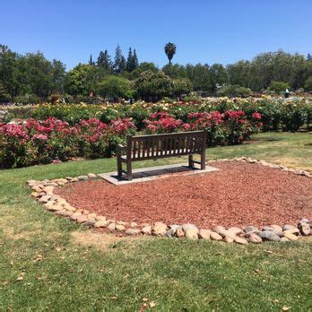 Villadan san jose şehir merkezine 2 km vardır. San Jose Municipal Rose Garden - 2793 Photos & 447 Reviews ...