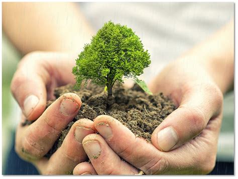 5 Little Known Unique Reasons To Plant Trees On This Earth