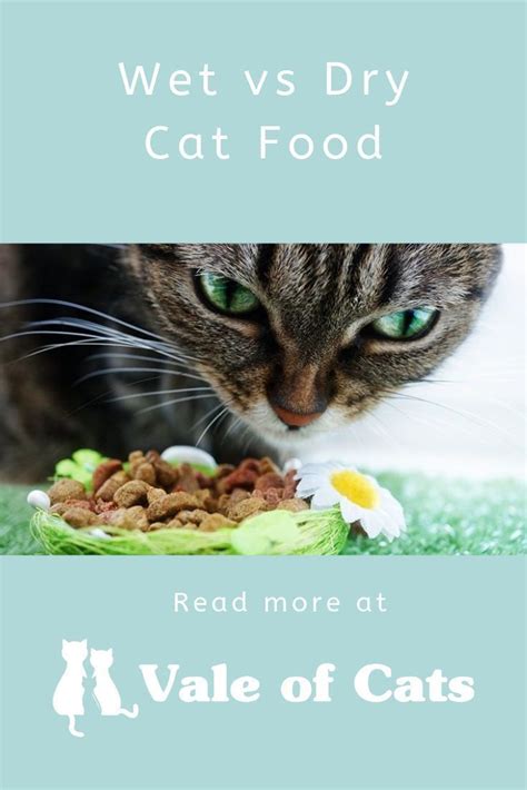 Is canned dog food good for your dog? How Much Wet Food to Feed a Kitten Per Day | Dry cat food ...
