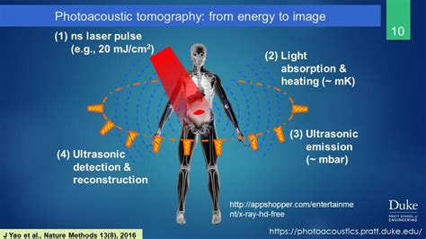 Basics Of Photoacoustic Imaging Photoacoustic Imaging Lab