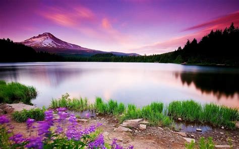 Nature Scenery Wallpapers Top Free Nature Scenery Backgrounds