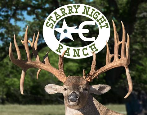 Starry Night Ranch Trophy Whitetail Hunting Near London Tx