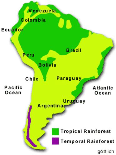 Tropical rainforests are found closer to the equator and temperate rainforests are found farther north near coastal areas. Location, Climate, Soil Conditions, and Terrain - Tropical ...