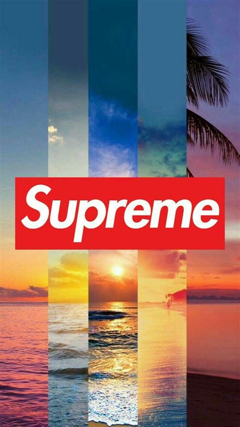 Supreme And Gucci Wallpapers Wallpaper Cave