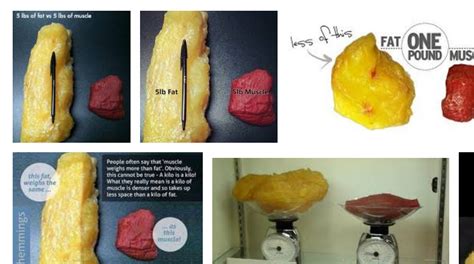 What Does A Pound Of Fat Look Like