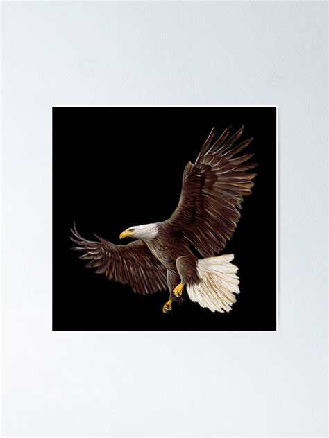 Bald Eagle Poster For Sale By Skyviper Redbubble