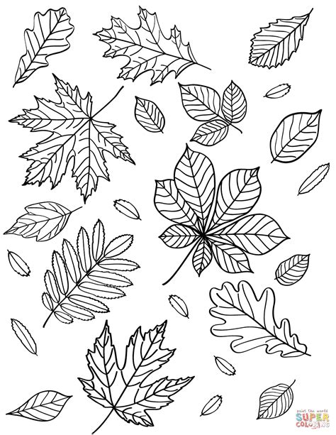 Autumn Leaves Coloring Page Free Printable Coloring Pages Fall Leaves