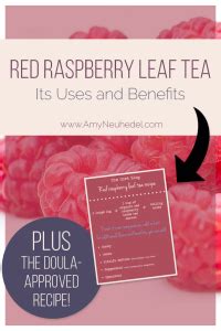 Red Raspberry Leaf Tea The Recipe Uses And Benefits