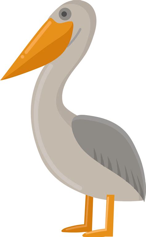 Pelican Clipart Clip Art Pelican Clip Art Transparent