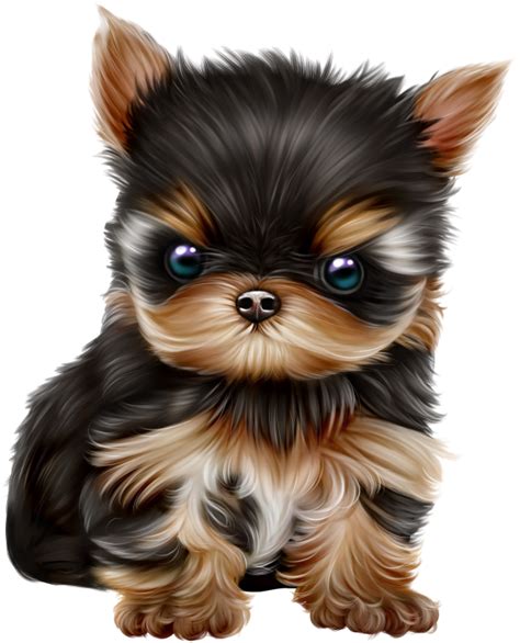 Dn Scraps Eleganceattila Puppies — Cute Dogs And Puppies