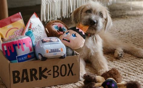 which barkbox toys have toys inside 2020 oswaldo shaver