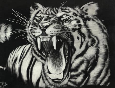 Tiger Scratch Board By Lindsaygauthier On Deviantart