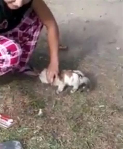 Sickening Video Shows Woman Setting Kitten On Fire After Dousing It In
