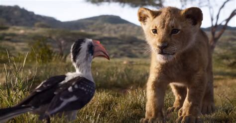 Il Re Leone Il Nuovo E Incredibile Trailer Del Film Simba è Tornato