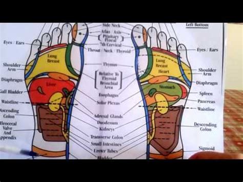 Reflexology How To Read A Foot Reflexology Chart 2 YouTube