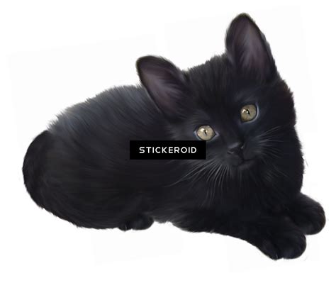 Download Kitty Transparent Kawaii Black Cat Black Cat Clipartkey
