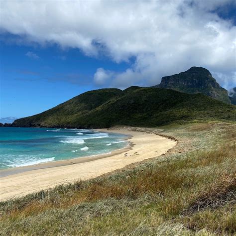 Blinky Beach Lord Howe Island Ce Quil Faut Savoir