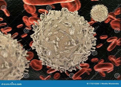 White Blood Cells Also Called Leukocytes Stock Photo Cartoondealer