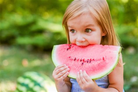 吃西瓜的小女孩孩子们在花园里吃西瓜。孩子们在户外吃水果。儿童健康小吃。2岁的小女孩在吃西瓜图片下载 觅知网