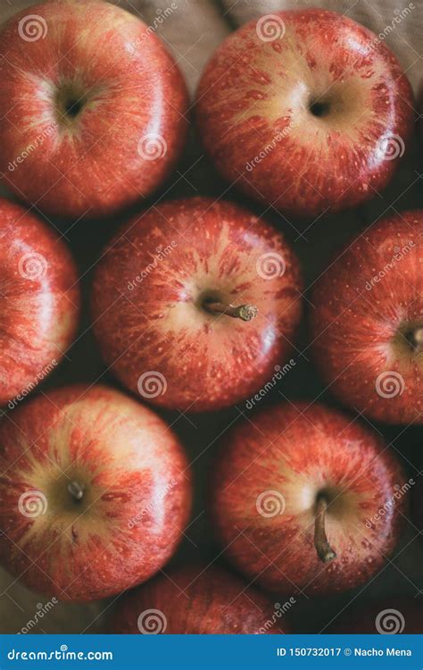 Apples Red Ripe Fruits Background Texture Apple Harvest Concept Stock