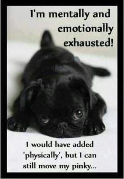 20 Sad Puppies That Will Ruin Your Day Good Night Baby Pugs Cute