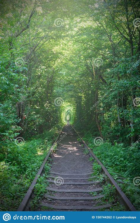 Railway Between The Trees That Create A Tunnel Of Green Leaves Stock