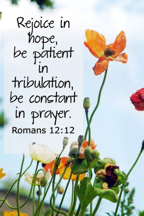 Rejoice In Hope Be Patient In Tribulation Be Constant In Prayer