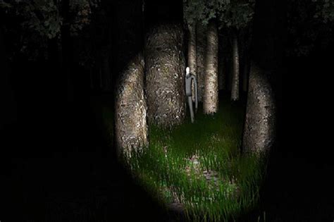The eight pages asks you to find eight pages hidden in the woods that tell you about slender man. Les Autres Survival Horror - Slender : The Eight Pages