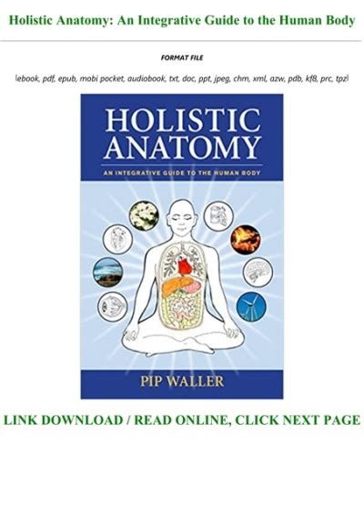 Free Download Holistic Anatomy An Integrative Guide To The Human