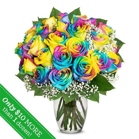 Two Dozen Wild Rainbow Roses At Send Flowers