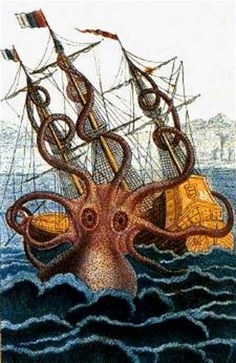 Kraken Wiki Mitología Fandom Powered By Wikia