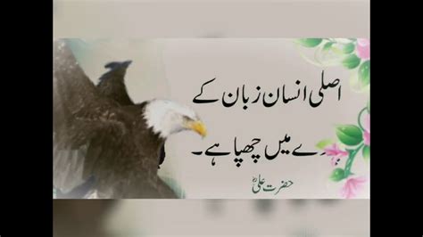 Hazrat Ali Ky Aqwal YouTube