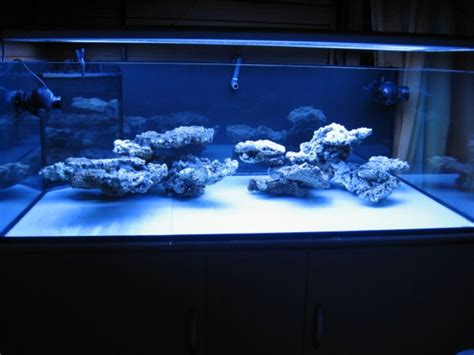 The landscape of a reef aquarium is not merely one to engage the senses, although aesthetic function is certainly important to the tank keeper. reef aquascaping - Buscar con Google | Saltwater ...