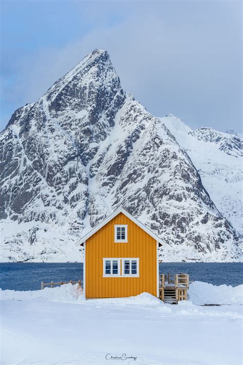 The Famous Yellow Cabin The Famous Yellow Cabin In Fjords Sakrisoy