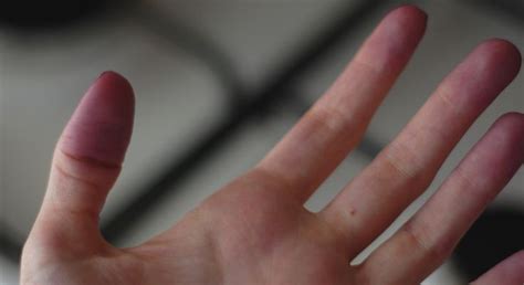 purple fingertips hair and nails purple fingertips