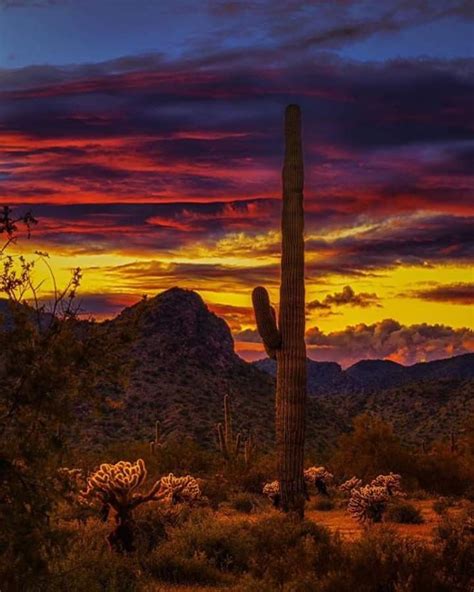 Pin By Lee Graeber On Arizona Arizona Sunsets Amazing Sunsets