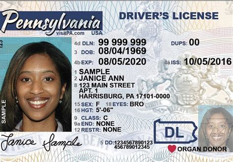 Your First Time Pennsylvania Drivers License Guide Driving Guide