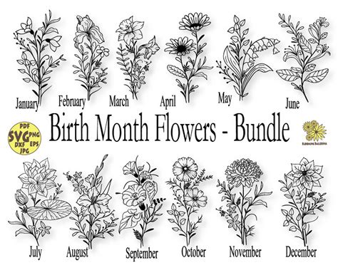 Birth Month Flowers Svg Bundle Birth Month Flower Birth Etsy Canada