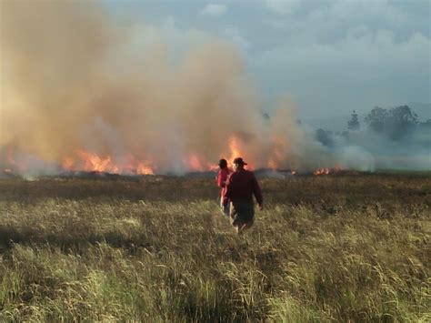 Kebakaran Hutan Dan Lahan Kian Terus Terjadi Hentikan Pembukaan Lahan
