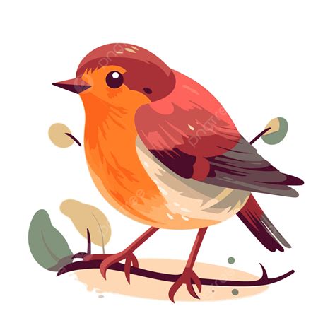 Robin Bird Vector Sticker Clipart Cartoon Cartoon Cute Cartoon Robin