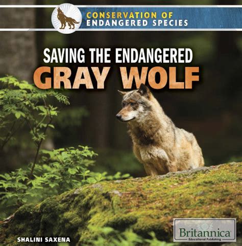 The Britannica Store Saving The Endangered Gray Wolf