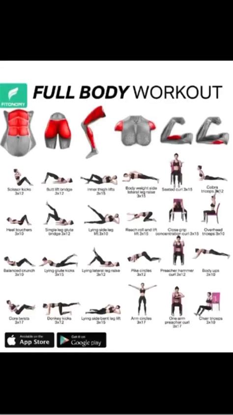 Full Body Workout All Body Workout Fitness Body Workout Plan