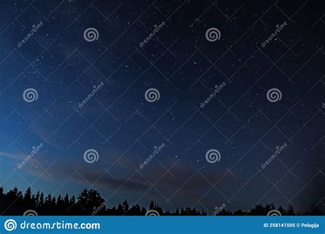 Night Starry Sky Over Forest Tree Silhouettes Against Backdrop Of