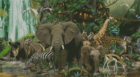 Rainforest Animals African Rainforest Animal