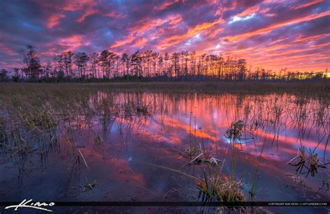 Florida Wetlands Landscape Sunset Colors Pbg Hdr Photography By