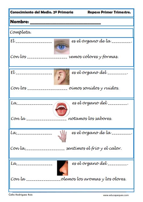 Fichas Conocimiento Del Medio Segundo Primaria 46368 The Best Porn